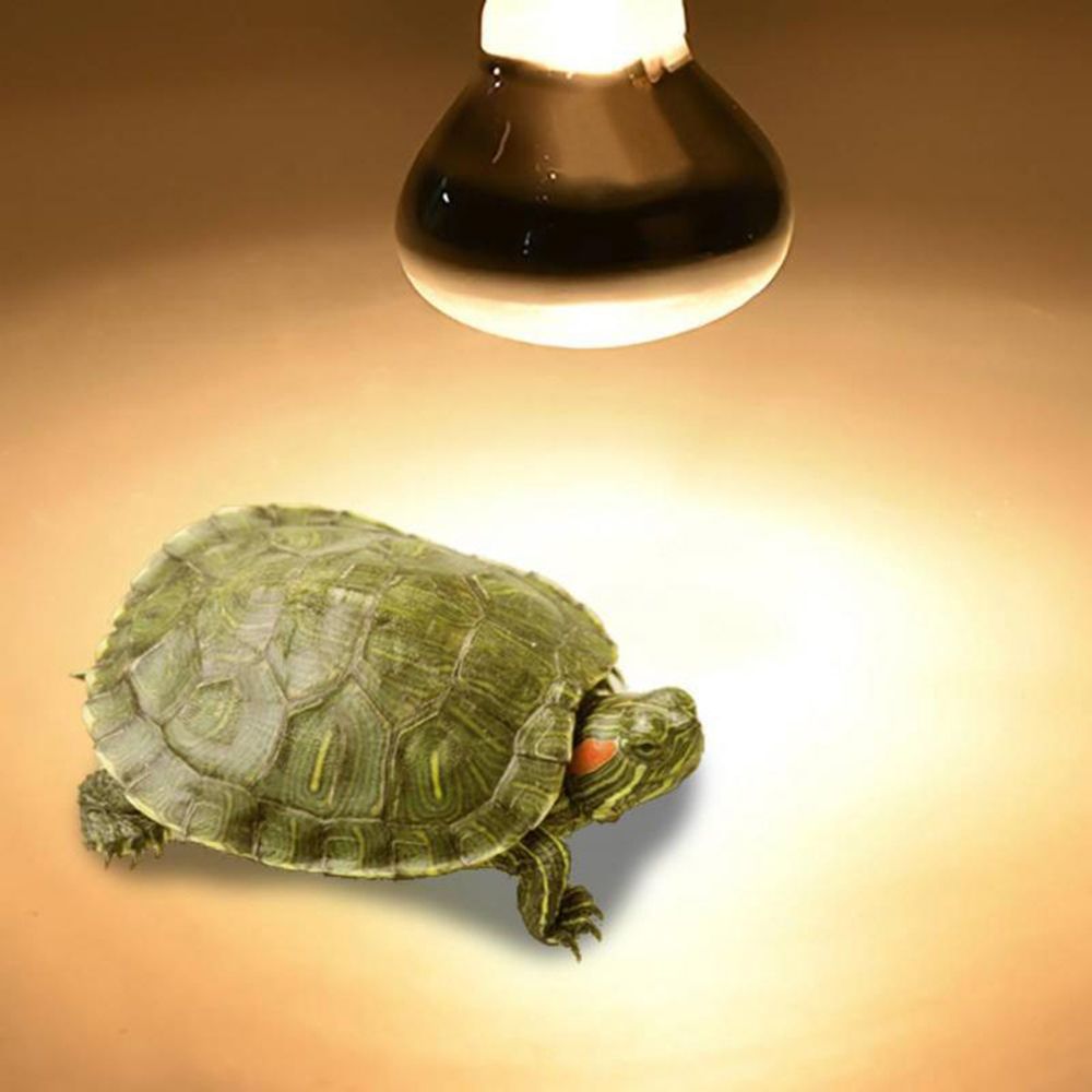 Basking Bulb Halogen - Eidechsen-Heizlampe UVA-Licht Reptilien-Halogenlampe Wärmelampe