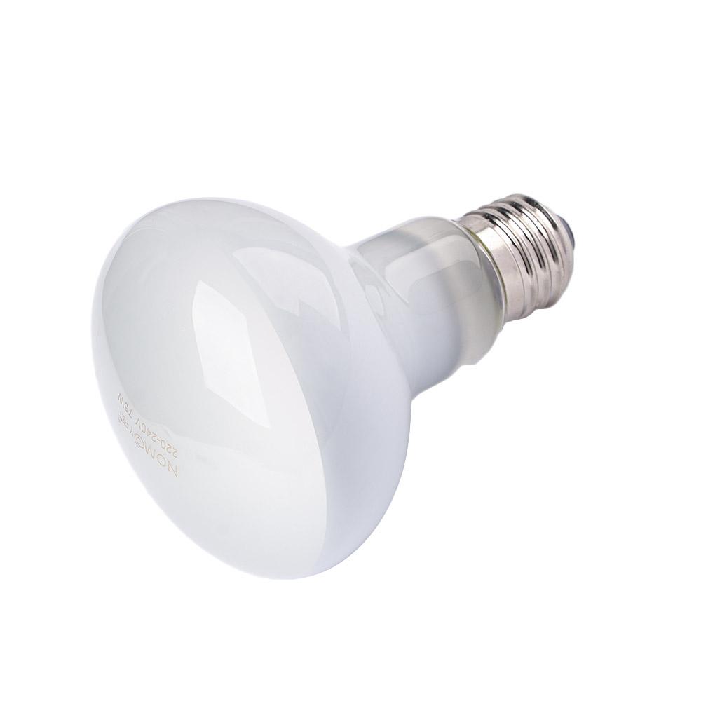 Basking Bulb Halogen - Eidechsen-Heizstrahler mit Temperaturregler, Halogenlampe, UVA-Licht, Wärmelampe