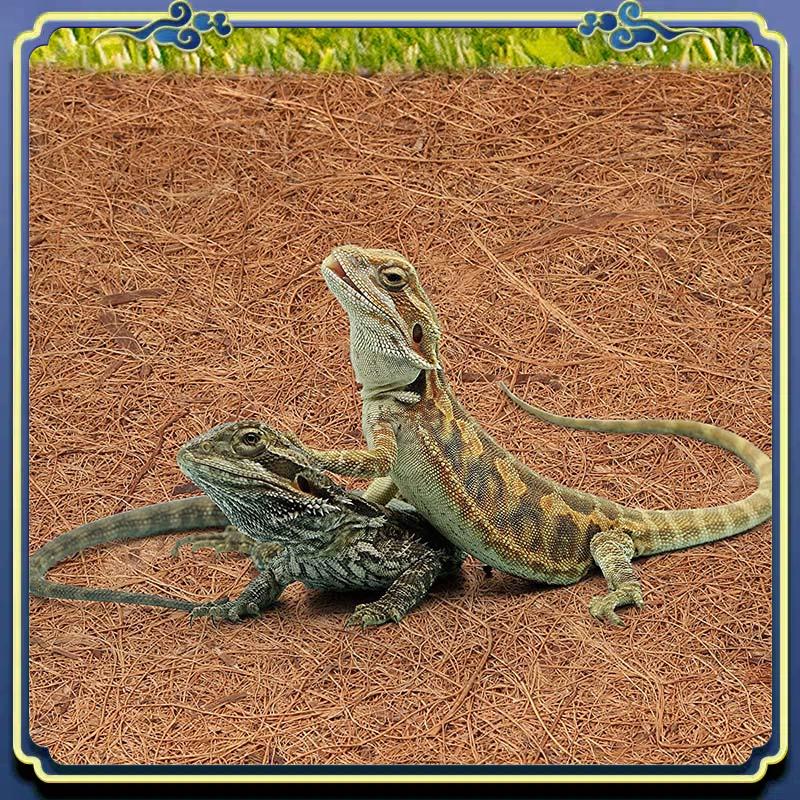 Substrate Coconut Fiber - Neueste Matte aus natürlichen Kokosfasern, Reptilienteppich,