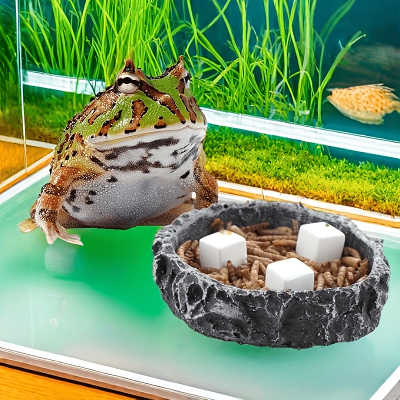 Calcium Powder Reptile - 6er-Set Fischbecken-Kalziumblöcke, Mineralien für Aquarien, Krabbelwürfel