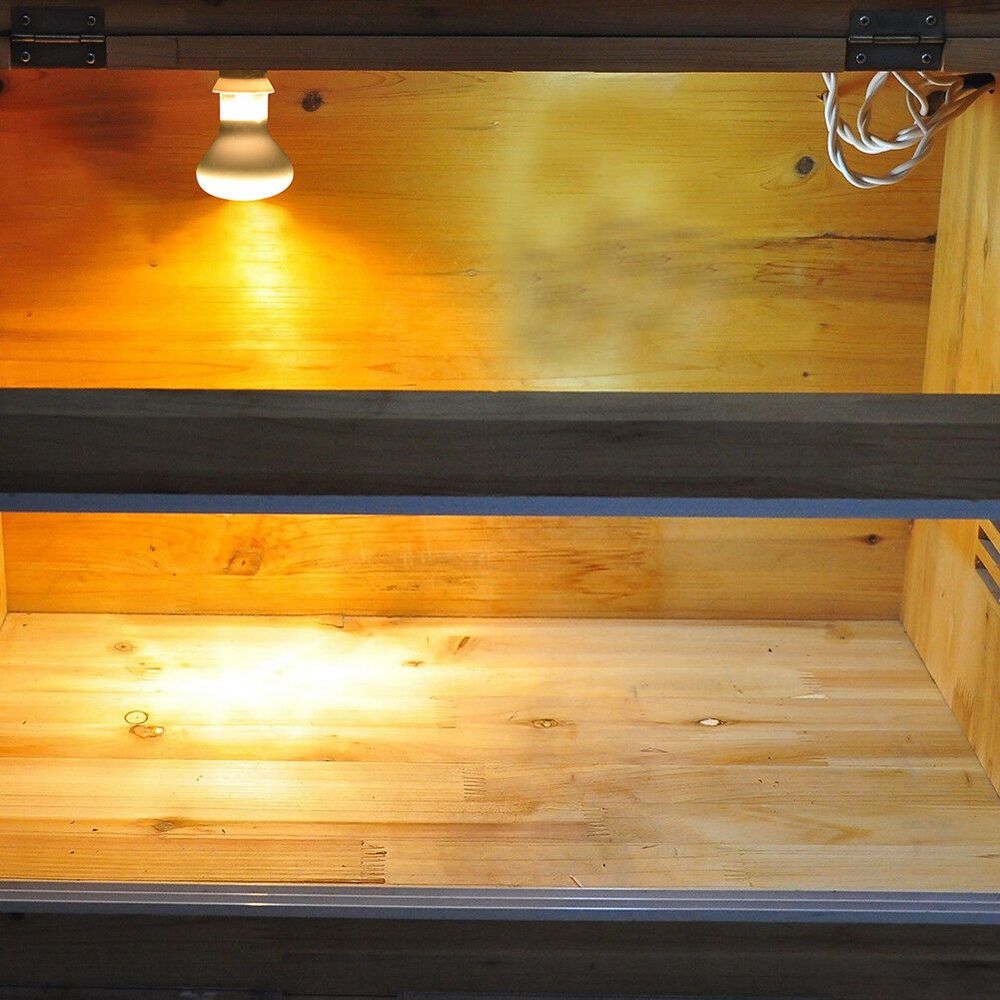 Basking Bulb Halogen - Eidechsen-Heizstrahler mit Temperaturregler, Wärmelampe für Reptilien,
