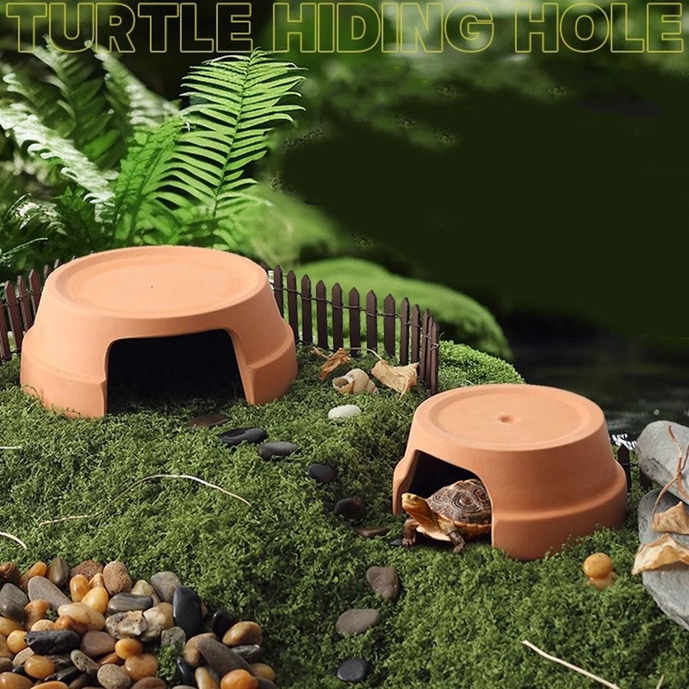 Multifunktionale Keramik-Repti – Hide Cave Ceramic Bewertung und Preis