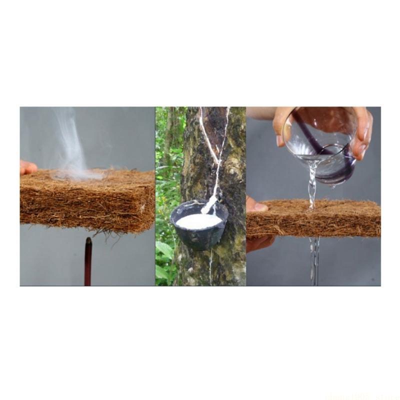 QX2E Reptilien-Einstreumatte f – Substrate Coconut Fiber Bewertung und Preis