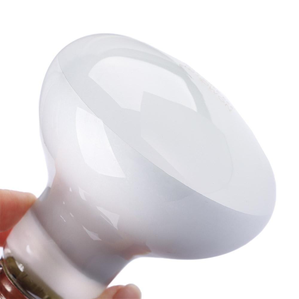 Eidechsen-Heizstrahler mit Tem – Basking Bulb Halogen Bewertung und Preis