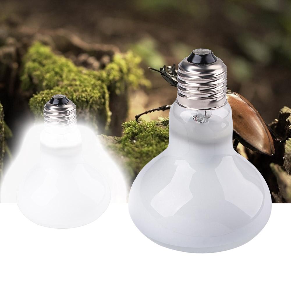 Amphibien-Wärmelampe UVA-Licht – Basking Bulb Halogen Bewertung und Preis