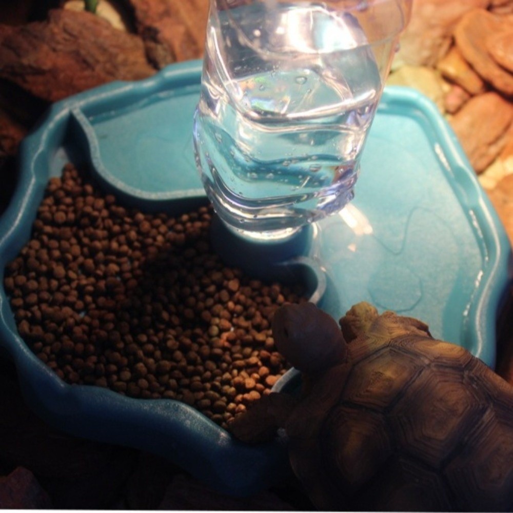 Neuer abnehmbarer Reptilienfut – Water Dish Reptile Bewertung und Preis
