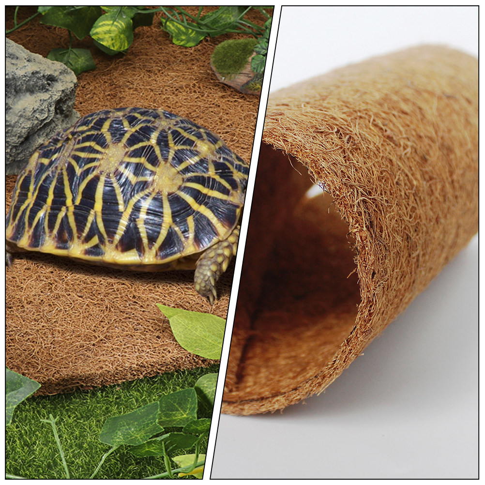 Kokossubstrat für Reptilien, N – Substrate Coconut Fiber Bewertung und Preis