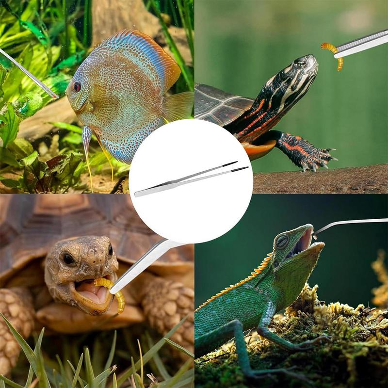 Extra lange Reptilien-Fütterun – Feeding Tong Stainless Bewertung und Preis