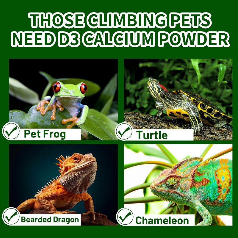 Kriechtier-Vitamin-D3-Kalziump – Vitamin D3 Reptile Bewertung und Preis