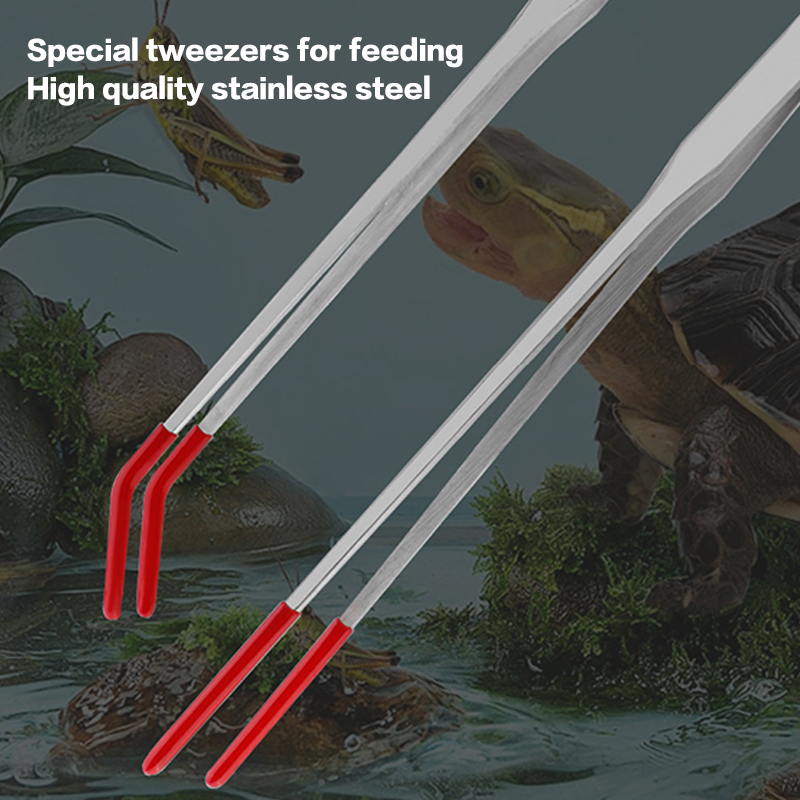 Edelstahl-Reptilienfutterzange – Feeding Tong Stainless Bewertung und Preis