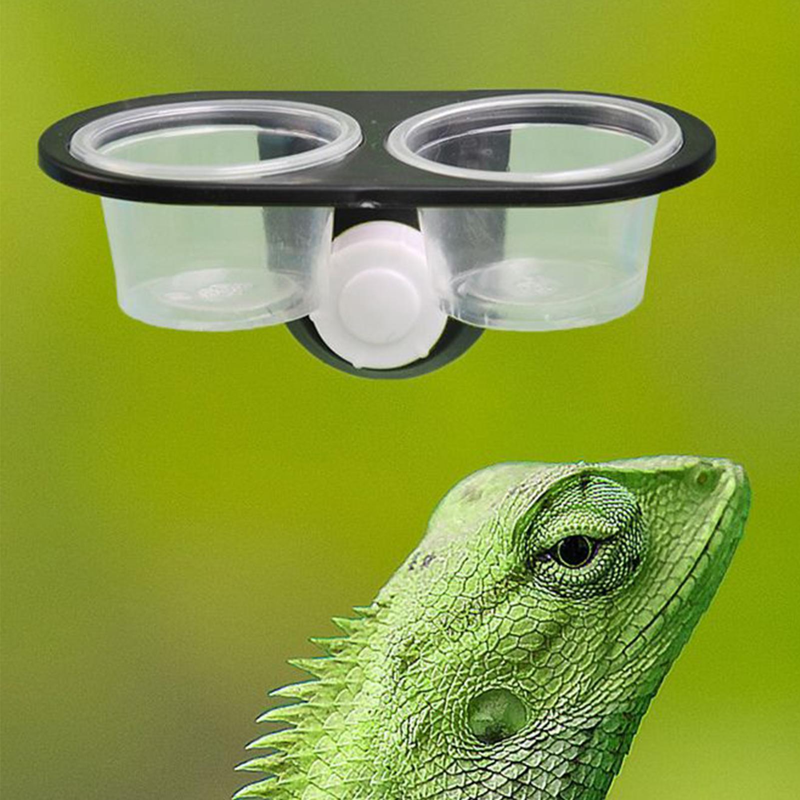 Gecko-Futterschale, Gecko-Fütt – Water Dish Reptile Bewertung und Preis