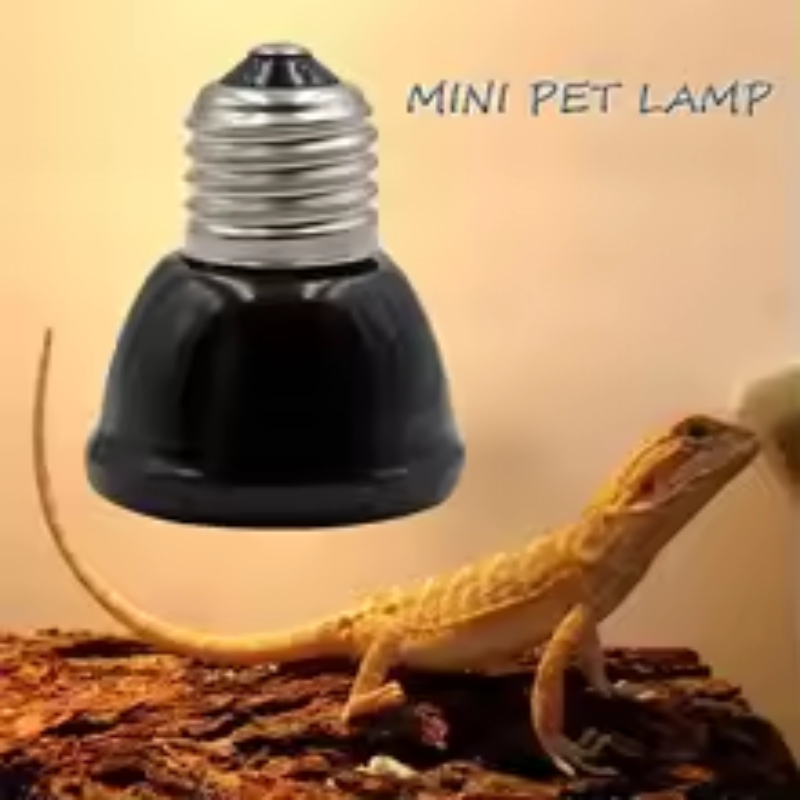 Reptilien-Keramik-Wärmelampe M – Ceramic Heat Emitter Bewertung und Preis