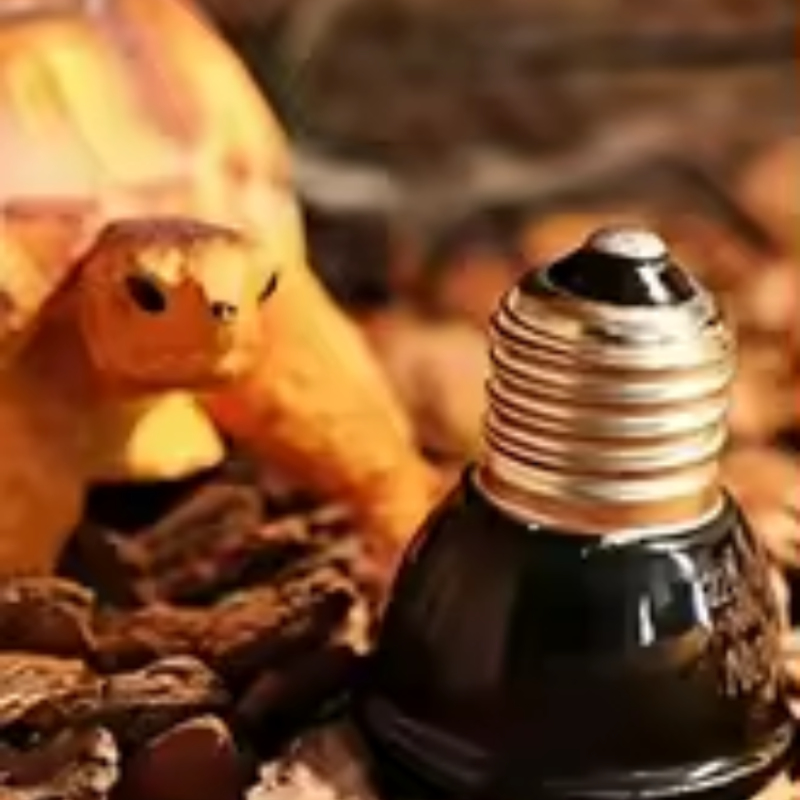 Reptilien-Keramik-Wärmelampe M – Ceramic Heat Emitter Bewertung und Preis