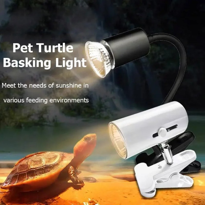 Multifunktionale Wärmelampe fü – Calcium Powder Reptile Bewertung und Preis