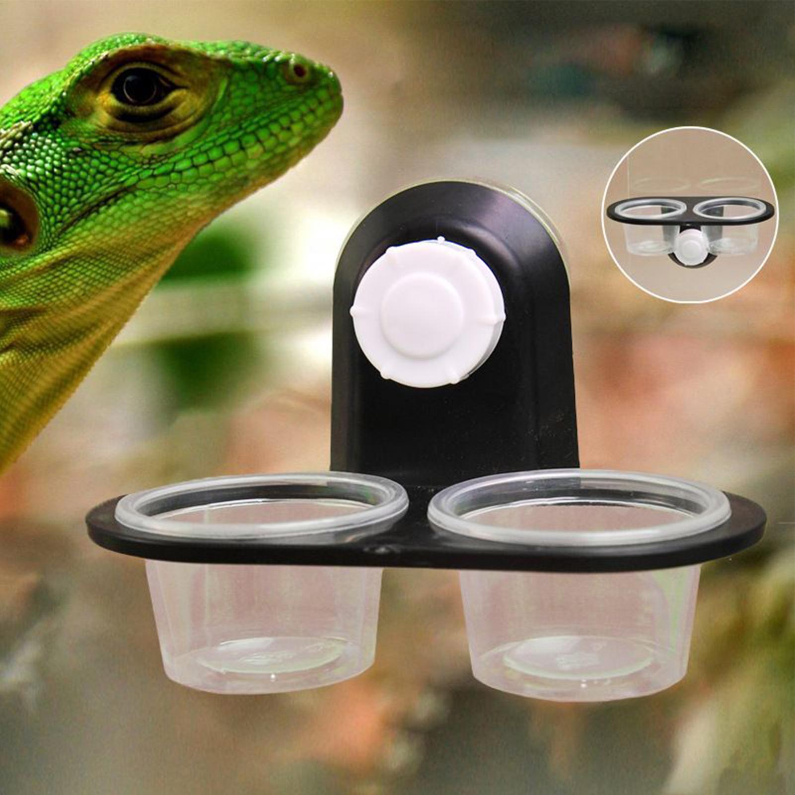Gecko-Futterbank mit abnehmbar – Water Dish Reptile Bewertung und Preis
