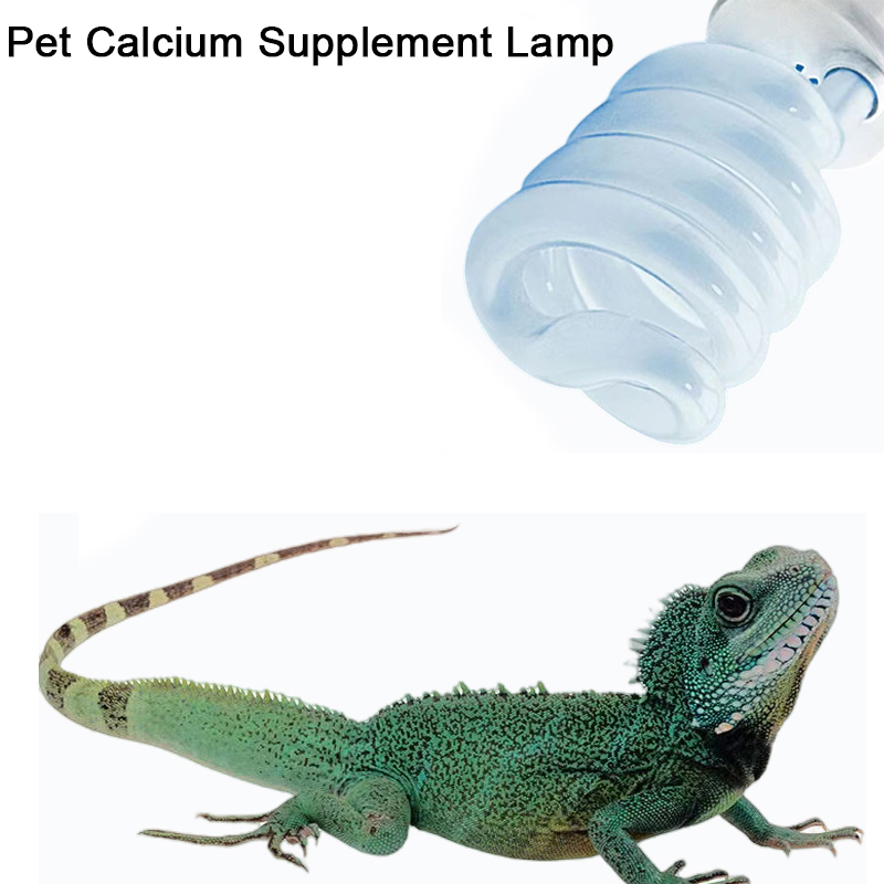 E27 13W/26W Reptilien-UVB-Lamp – Calcium Powder Reptile Bewertung und Preis