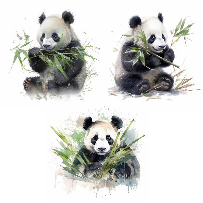C76 #   Aquarell Panda Wandauf – Pvc Panel Background Bewertung und Preis