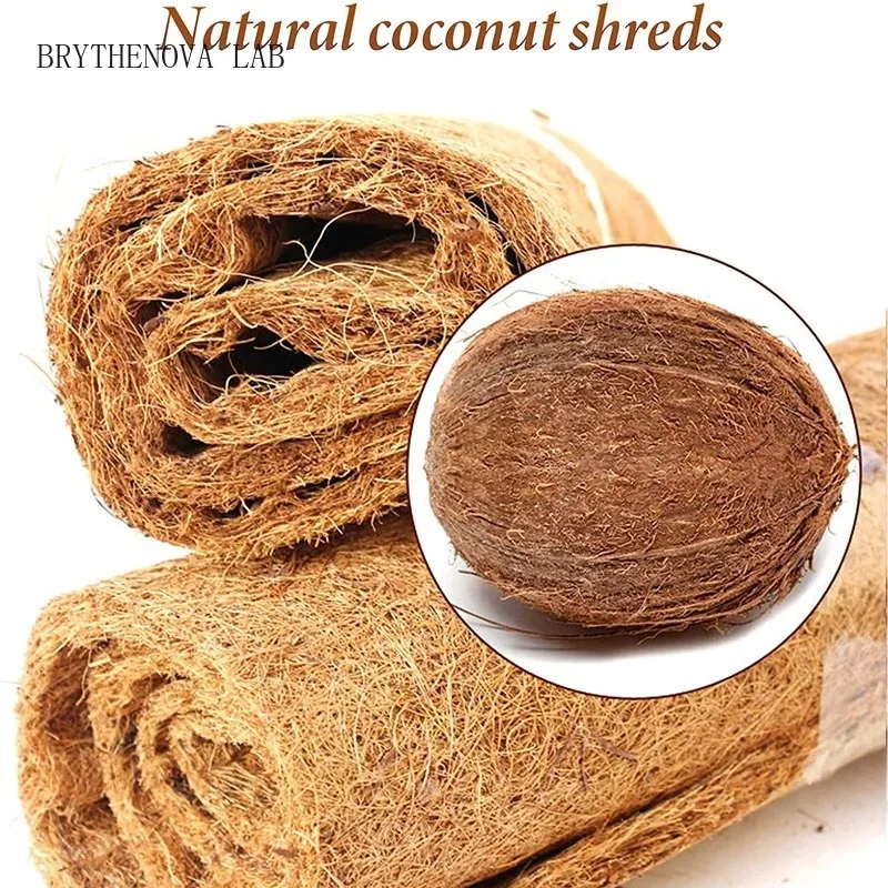 Reptilien-Teppich aus Natürlic – Substrate Coconut Fiber Bewertung und Preis