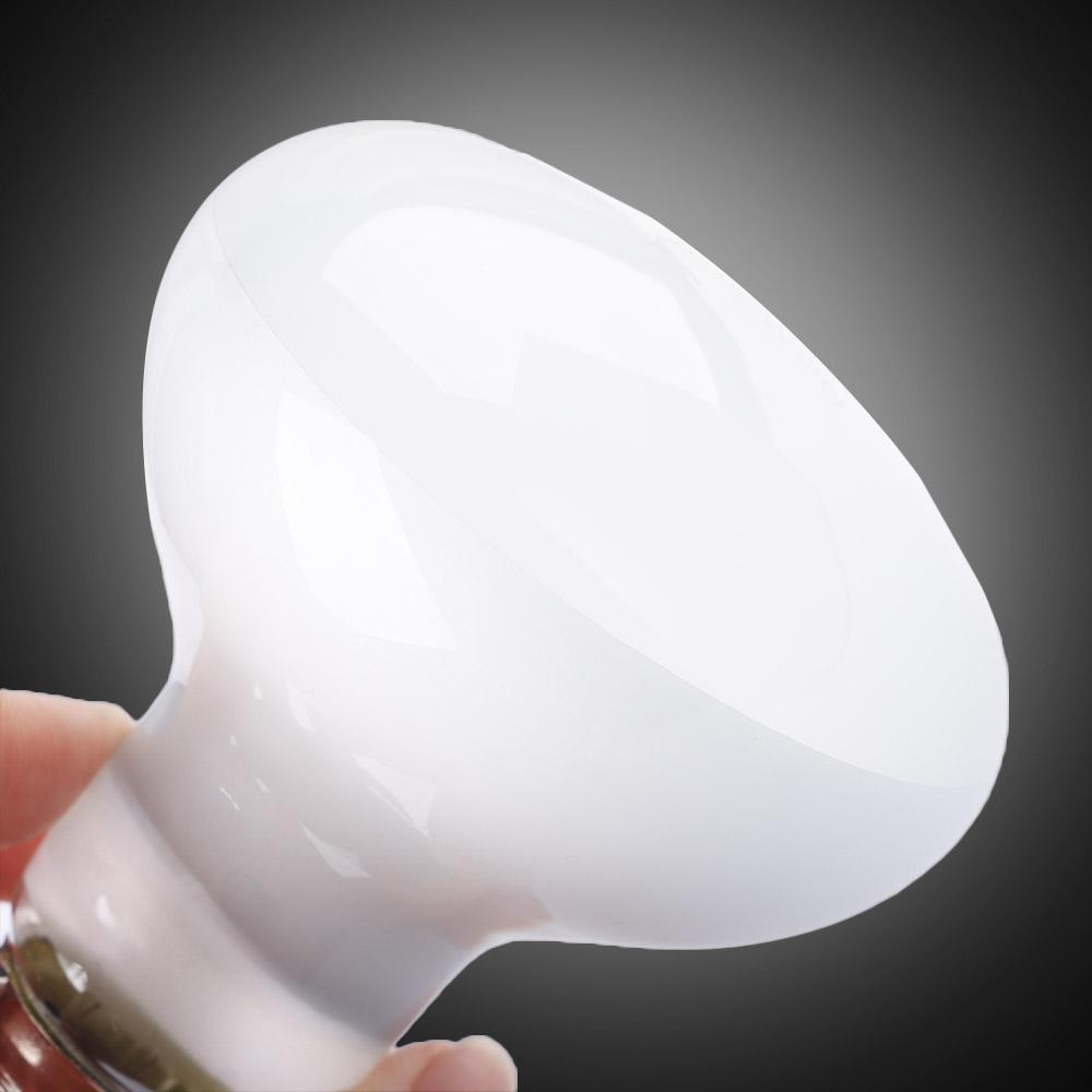Amphibien-Wärmelampe mit Tempe – Basking Bulb Halogen Bewertung und Preis
