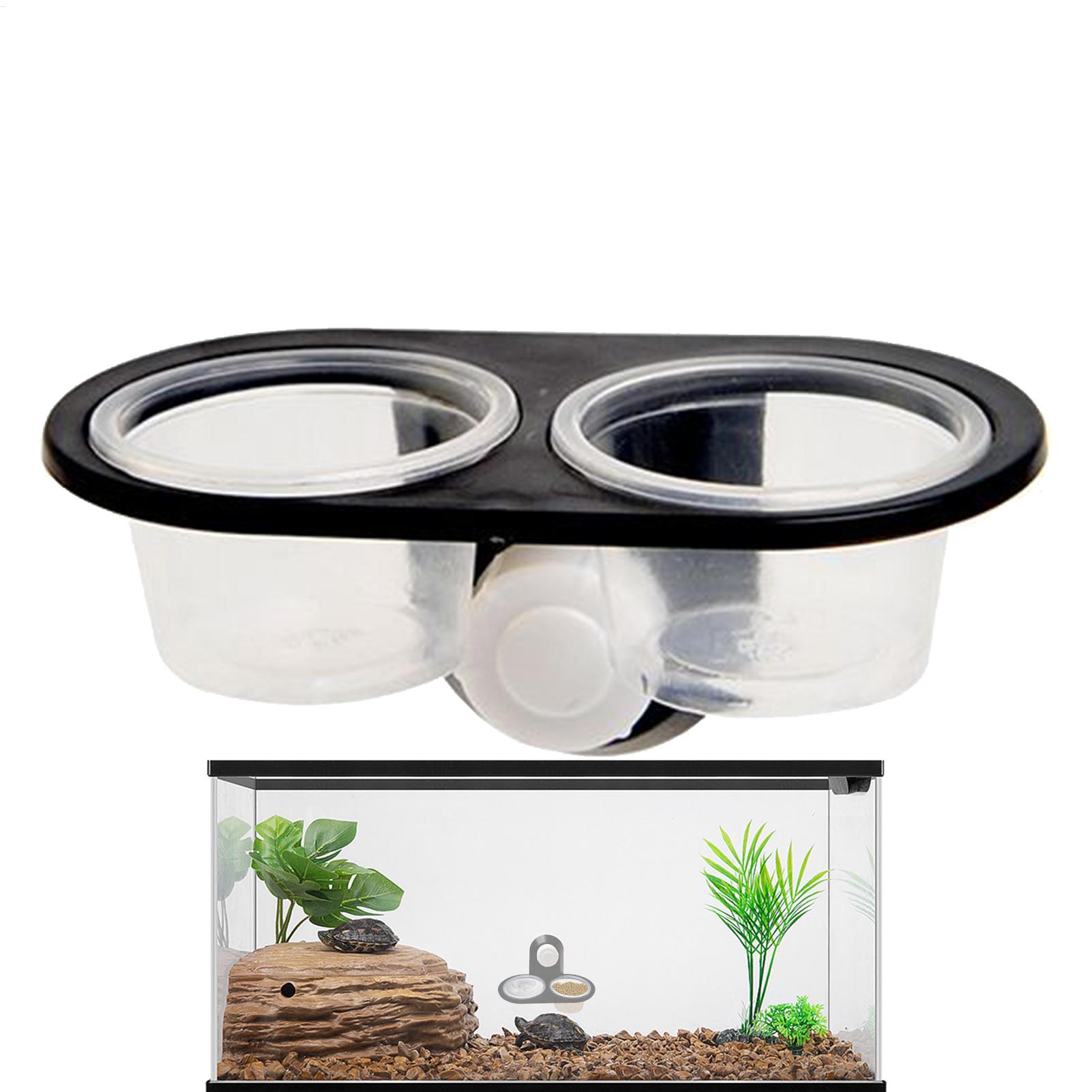Gecko-Futterschale und Wassers – Water Dish Reptile Bewertung und Preis