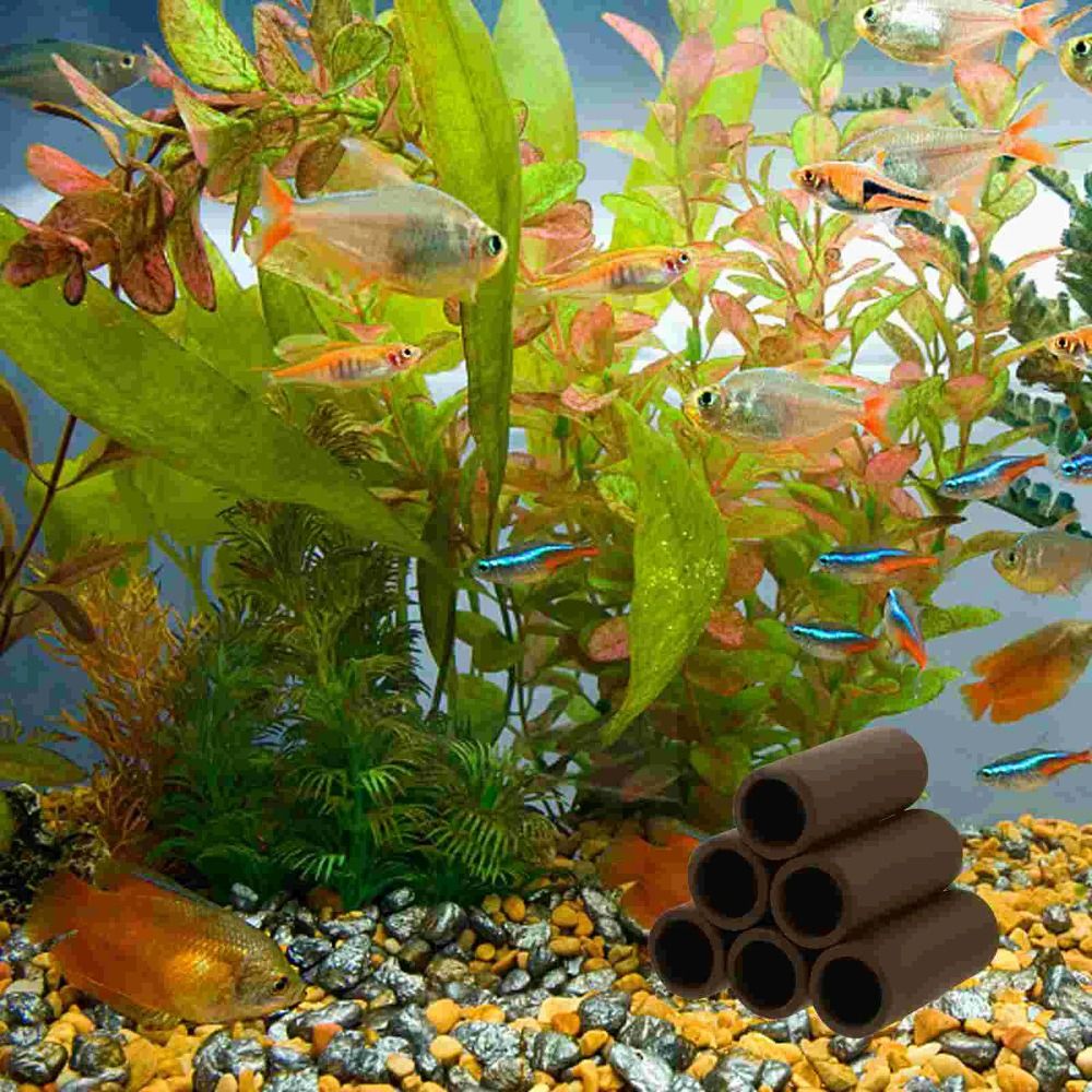 Spielen, Zucht, Laichen, Aquar – Hide Cave Ceramic Bewertung und Preis